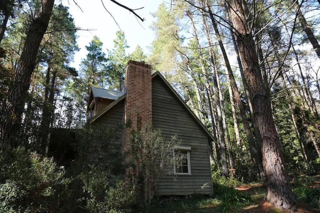 Holly Lodge Medlow Bath Exterior photo