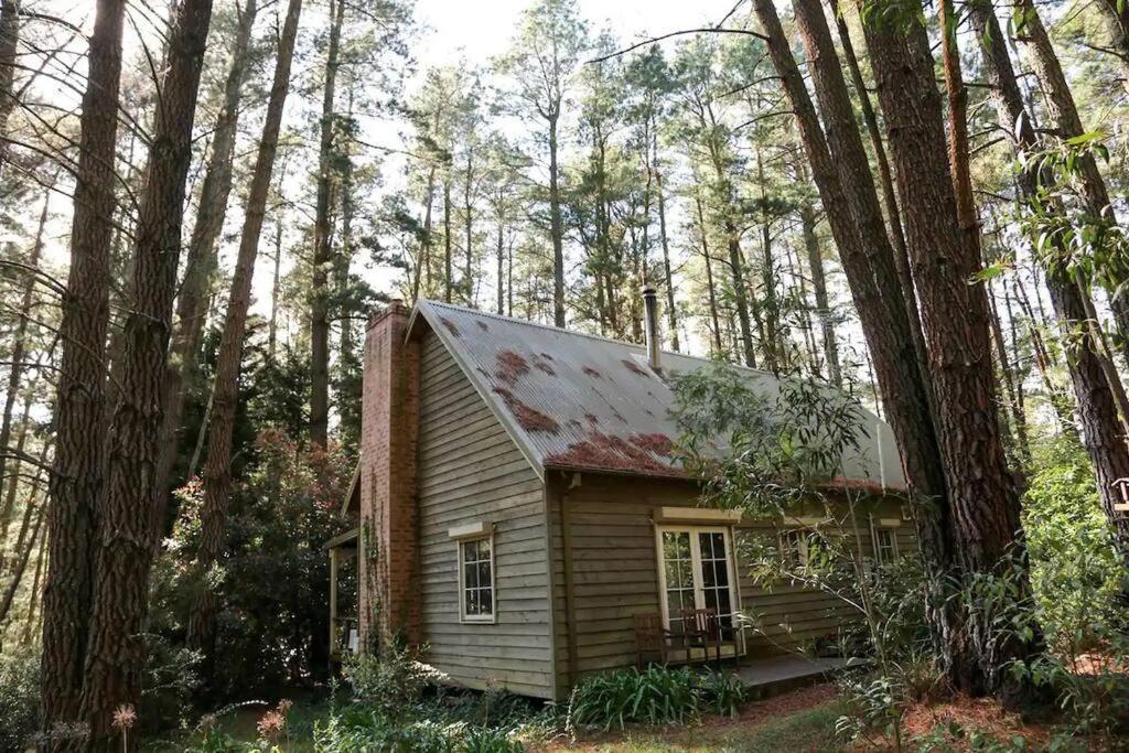 Holly Lodge Medlow Bath Exterior photo