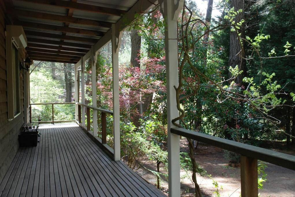 Holly Lodge Medlow Bath Exterior photo